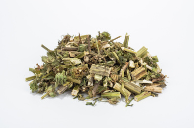 中国中草药植物药材益母草