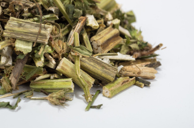 中国中草药植物药材益母草