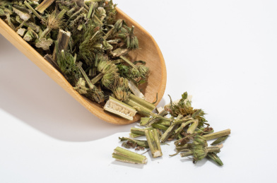 中国中草药植物药材益母草