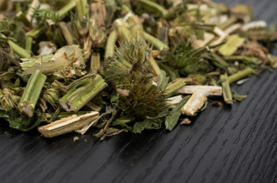 中国中草药植物药材益母草