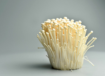 浅灰色背景下的新鲜疏菜蘑菇金针菇的特写