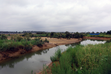 中国河北秦皇岛鸽子窝公园湿地
