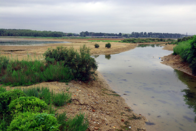 中国河北秦皇岛鸽子窝公园湿地
