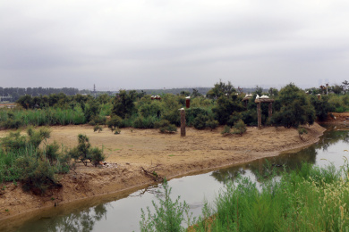 中国河北秦皇岛鸽子窝公园湿地