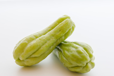 放在白色背景上的中国蔬菜佛手瓜