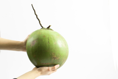 手捧着一个新鲜的椰子放着白色背景上