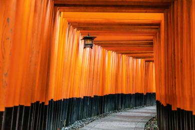 日本京都伏见稻荷神社的千鸟居