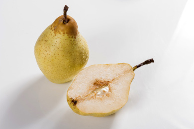 具有生津润燥功效的鸭梨摆放在桌面上