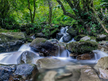 四川省洪雅瓦屋山国家森林公园内飞瀑流丹