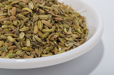 中国中草药植物药材小茴香