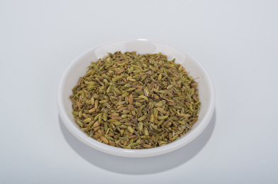 中国中草药植物药材小茴香