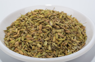 中国中草药植物药材小茴香