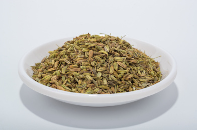 中国中草药植物药材小茴香