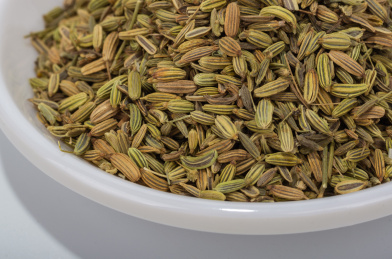 中国中草药植物药材小茴香