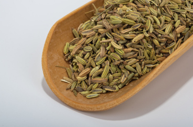 中国中草药植物药材小茴香