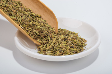 中国中草药植物药材小茴香