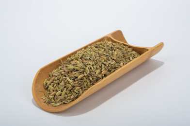 中国中草药植物药材小茴香
