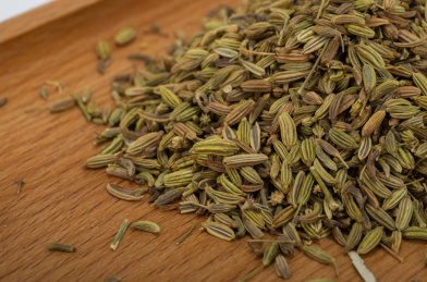 中国中草药植物药材小茴香