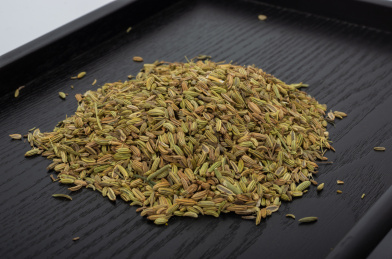 中国中草药植物药材小茴香