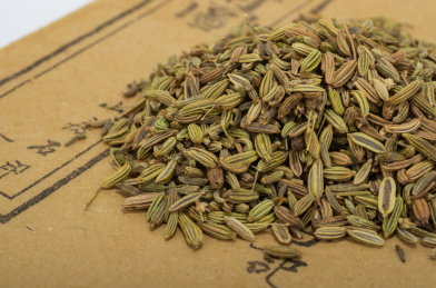 中国中草药植物药材小茴香