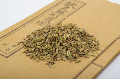 中国中草药植物药材小茴香
