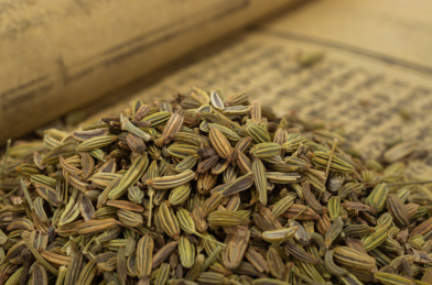 中国中草药植物药材小茴香