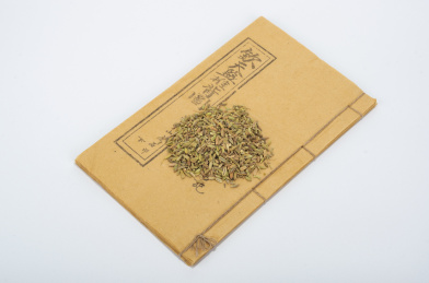 中国中草药植物药材小茴香