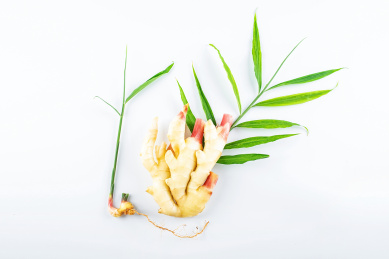 一块鲜嫩的生姜和姜叶在白背景上