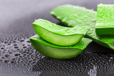 新鲜的芦荟叶子和水滴在黑背景上