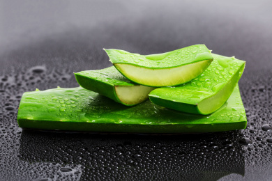 新鲜的芦荟叶子和水滴在黑背景上