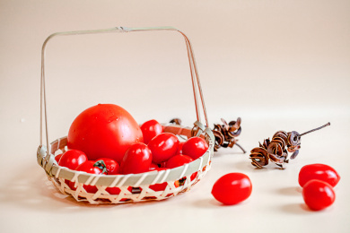 新鲜的西红柿和小番茄放在编制的镂空篮子里浅色的背景