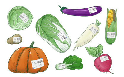 贴着售价标签的蔬菜 超市蔬菜类商品 手绘插画