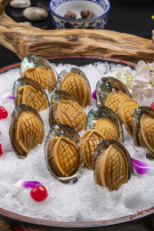 鲜吃小鲍鱼摆放在樟木砧板上