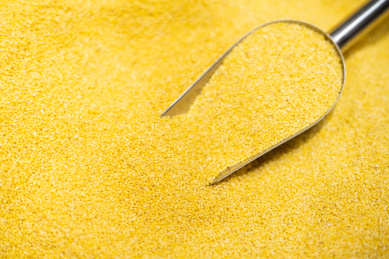 铲子放在新鲜的散装黄小米里