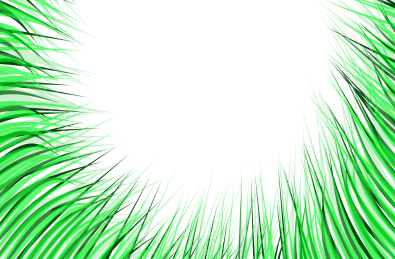 春天里的绿色茅草茂盛生长背景素材