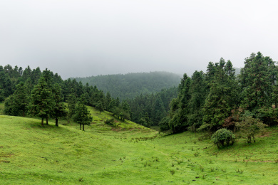 重庆武隆区县景区仙女山国家森林公园