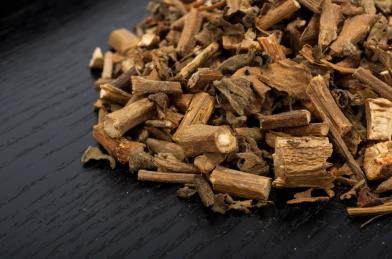 中国中草药植物药材广藿香