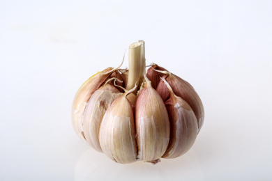 一个大蒜头在白色的背景上