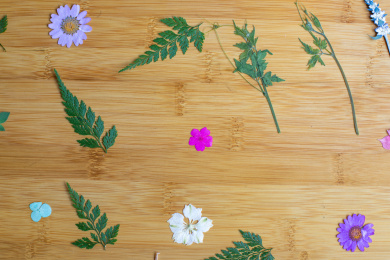 中国传统手工花草纸制作工具