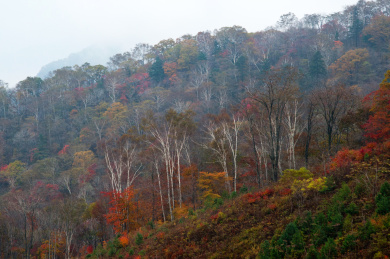 中国辽宁丹东宽甸天桥沟秋色