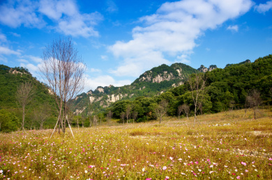 中国辽宁丹东宽甸天桥沟秋色