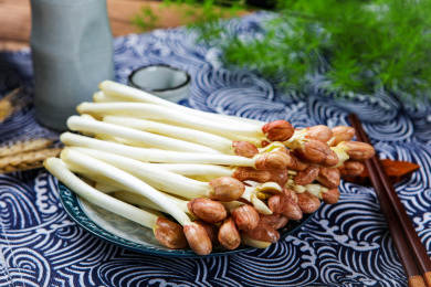 新鲜有机蔬菜鲜嫩的花生芽