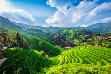 中国广西省桂林市龙胜各族自治县龙脊梯田夏季风景