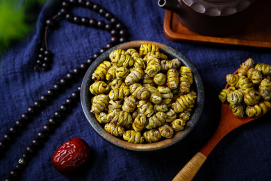 中国传统中医学药材铁皮石斛