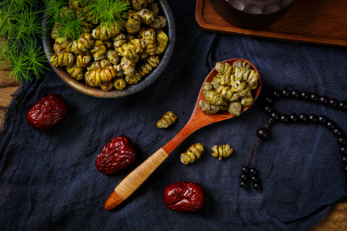 中国传统中医学药材铁皮石斛