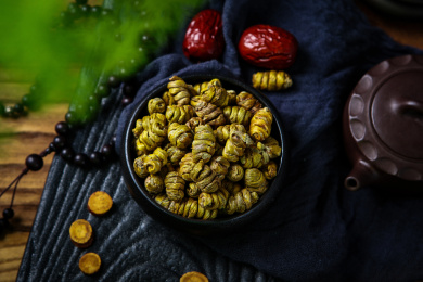 中国传统中医学药材铁皮石斛