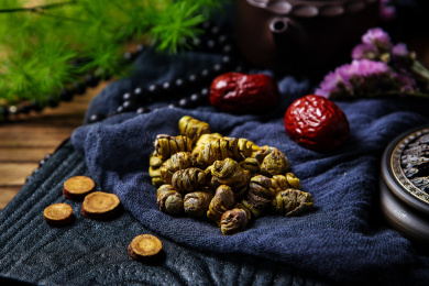 中国传统中医学药材铁皮石斛