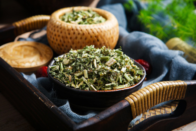 传统中医天然中药材益母草