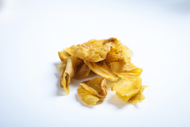 中国传统中医健脾胃中药材鸡内金