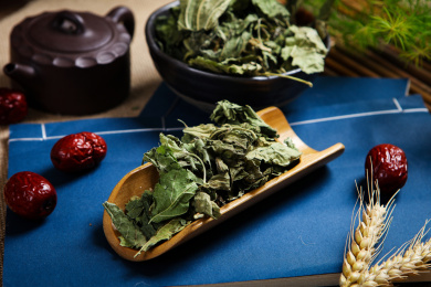 纯天然中草药保健茶饮霜桑叶